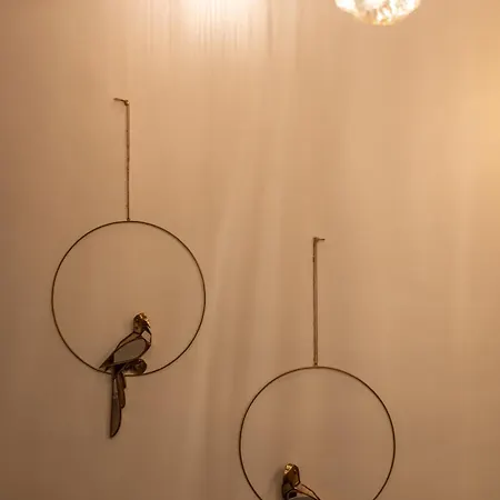 Le Lys Dort סרלה-לה קנדה