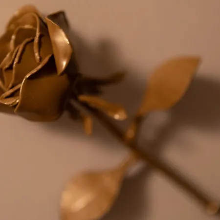 Le Lys Dort לינה וארוחת בוקר