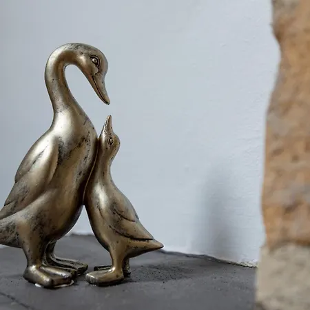 לינה וארוחת בוקר Le Lys Dort