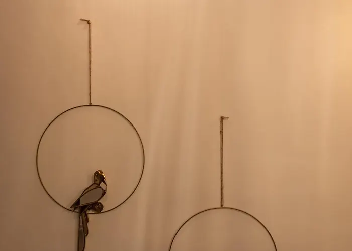 Le Lys Dort סרלה-לה קנדה