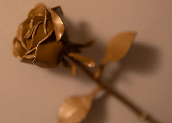 Le Lys Dort לינה וארוחת בוקר